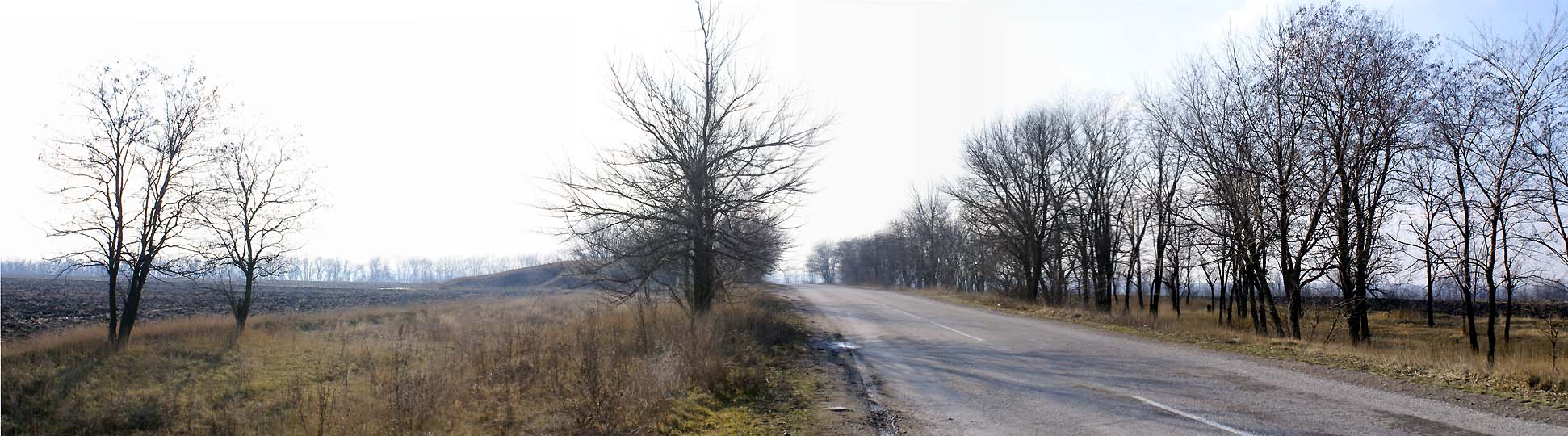 Дорога на Новониколаевку